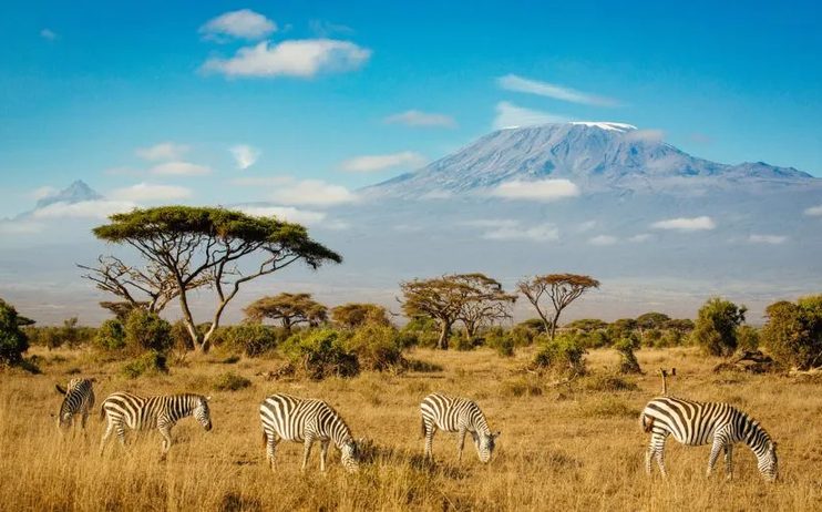 Kenya, a tutto safari!